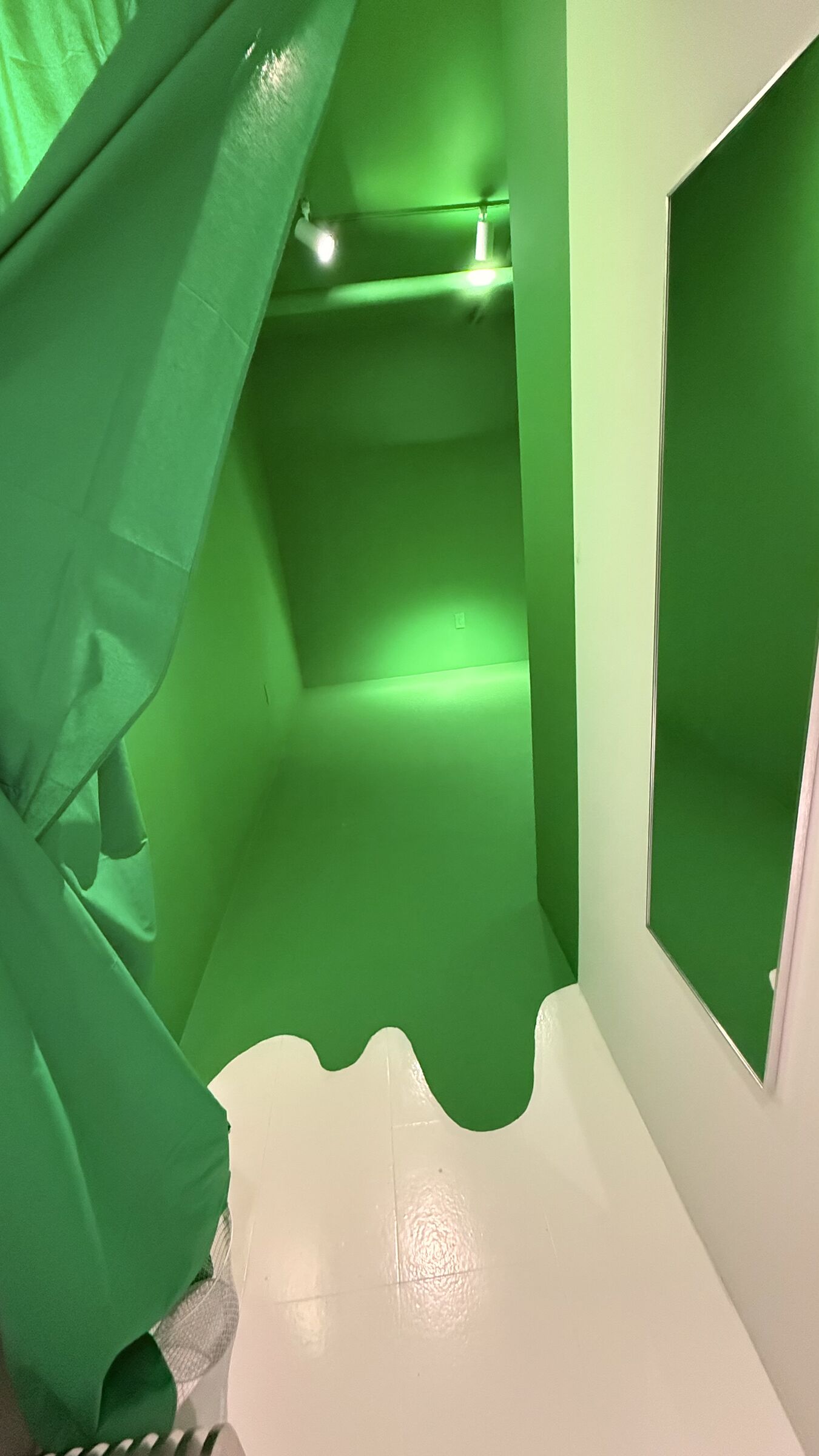 Inside the chamber — green-on-green with the muslin curtain parted at the entrance.